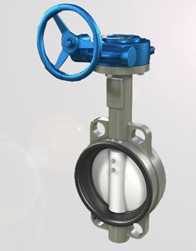 Concentric Butterfly Valve