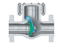 Swing check valves