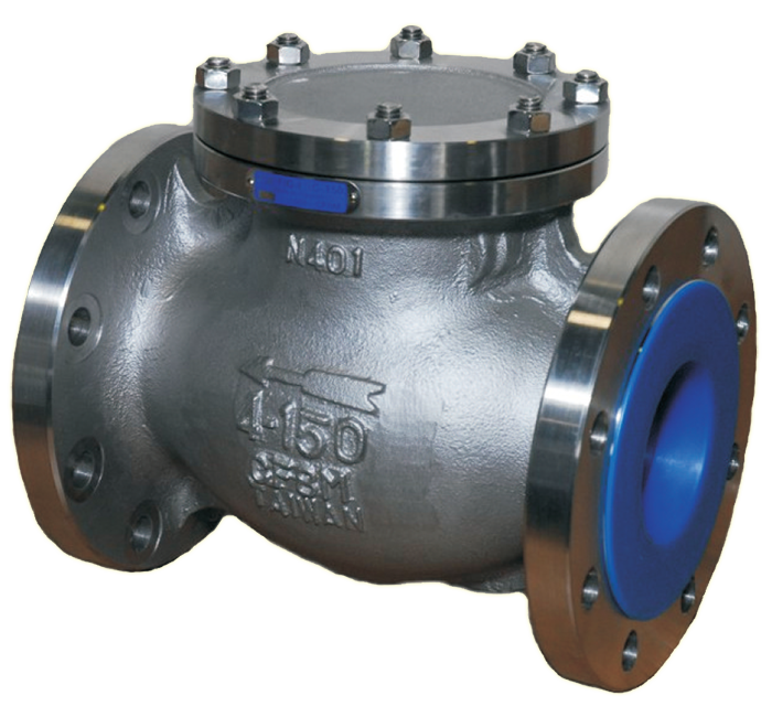 Steel Swing Check valve