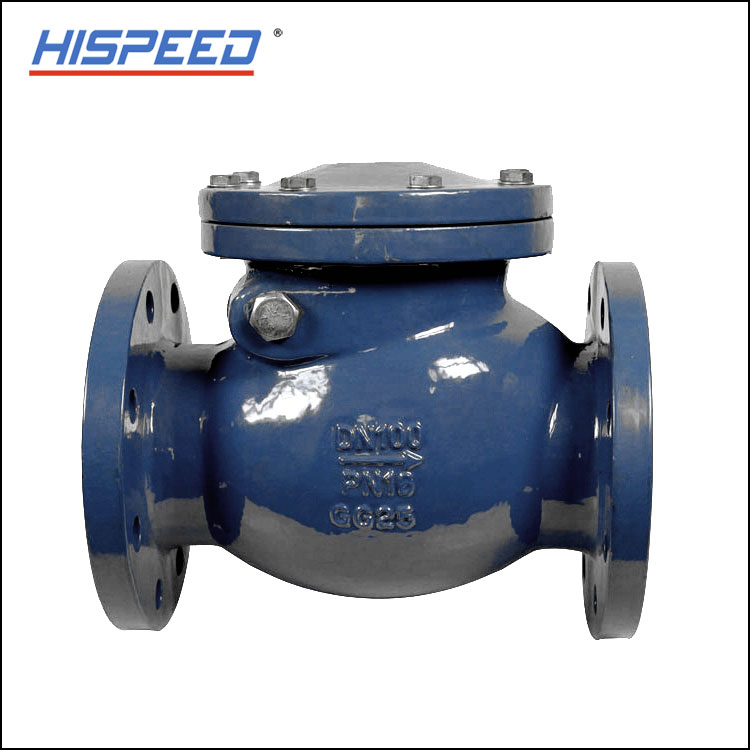 Cast Iron Swing Check Valve